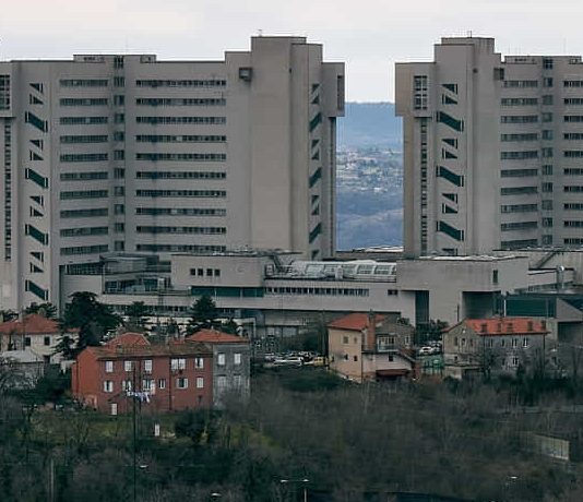 After Open-Heart Surgery, a Letter of Thanks to Trieste