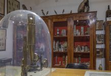 Ecothema Social Cooperative Society Launches “Dialogues of Science” Series at the Civic Museums of Science in Trieste