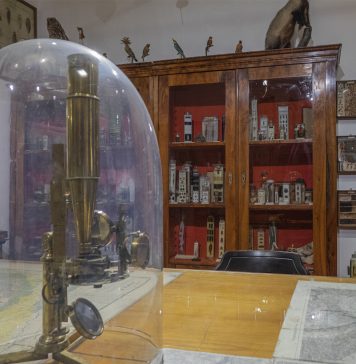 Ecothema Social Cooperative Society Launches “Dialogues of Science” Series at the Civic Museums of Science in Trieste