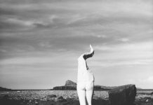 “Fotografia Zeropixel Unveils Thrilling CLIMAX: A Decade of Analog Excellence”