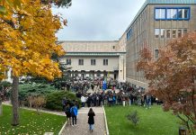 Italian Senate Unanimously Approves Sweeping Reforms to Combat Violence Against Women