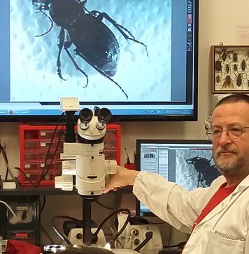 A Closer Look at the Hidden Life of the Karst, Inside Trieste’s Natural History Museum