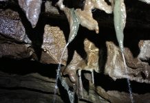 Emerging from Centuries of Darkness: Trieste Speleologists Unearth a Hidden Passage in the Theresian Aqueduct