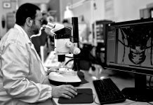 Creepy Crawlies? Yes, Please! Meet Andrea Colla, The Man Whose Contagious Passion For Bugs Will Make You Love Them (And Eat Them!)