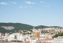 Insights into Friuli Venezia Giulia’s Labor Market: Challenges and Opportunities