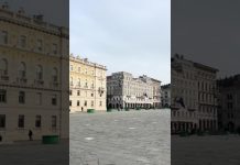 Trieste Is Getting Ready To Put The Christmas Trees Up