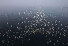 Trieste Prepares for Barcolana57, the World’s Largest Sailing Regatta