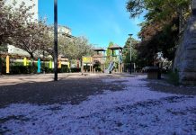 Advocates Rally for San Michele Garden Revitalization in Trieste