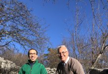 Ancient Celestial Map Found in Trieste’s Karst Region