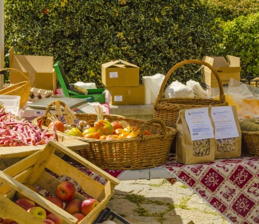 Neighborhood Shops in Friuli Venezia Giulia Seek Revival Amid Online Retail Surge