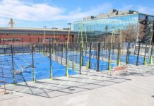 Trieste Campus: A Game-Changer in Revitalizing Urban Sports Landscape
