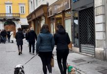 Unleashing Responsibility: Trieste’s Love for Dogs and the Call for Better Pet Care Practices in the City