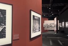 Sebastião Salgado’s Exhibition: A Visual Odyssey of the Brazilian Rainforest