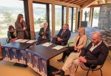 Trieste University’s Century: A Tapestry of History, Architecture, and Legacy