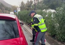 Police Crack Down on Traffic Violations in Trieste During Easter Holidays