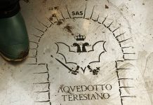 Beneath the Surface: Unveiling Trieste’s Hidden Aqueduct with SAS