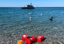 Trieste’s Little Eco-Explorers Lead Environmental Movement