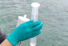 International Expedition Explores Coastal Ecosystems, Docking in Trieste