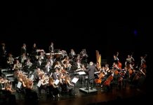 Central European Orchestra Embarks on Transcendent Musical Journey