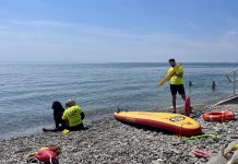 Exploring Beachside Etiquette and Canine Care at MAREinFVG Festival