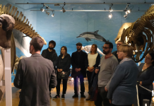 In Trieste, a Museum Experience for All: Inclusive Guided Tour Breaks Barriers