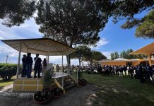 Grado’s Renaissance: A Tourism Triumph on Italy’s Adriatic Coast