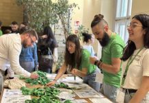 Universities of Trieste and Primorska Host International Educational Week