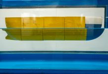 Navigando: Students Navigate Maritime Careers in Trieste Finale