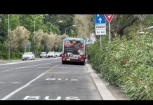 Public Transportation Changes Coming to the City of Trieste