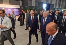 Governor of Friuli Venezia Giulia Highlights Strategic Ties at Italy-Serbia Business Forum