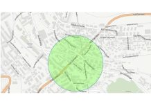 Trieste Imposes Traffic Ban for Dengue Disinfestation