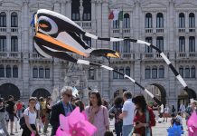 Trieste’s Wind Festival Returns, Celebrating the Breeze and Bridging Communities