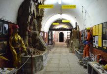 The Speleovivarium Museum Unveils “Marvelous Monsters” Exhibit