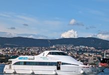 Delfino Verde Suspends Service to Muggia