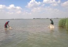 DNA Analysis Unveils Rich Biodiversity in Mediterranean Lagoon