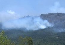Wildfires Ravage Karst Region, Threatening Homes Near Monfalcone and Redipuglia