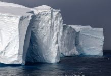 Submarine Canyons Drive Antarctic Ice Sheet Instability, New Study Finds