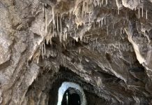 Discovering the Hidden Gem of Trieste: Lower Stena Tunnel