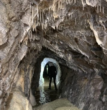 Discovering the Hidden Gem of Trieste: Lower Stena Tunnel