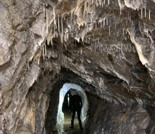 Discovering the Hidden Gem of Trieste: Lower Stena Tunnel