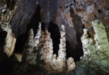 Discovering Hidden Wonders: The Majestic Torri di Slivia Cave