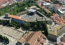 Winckelmann Museum Celebrates Summer Finale with Archaeological Revelations and Musical Delights