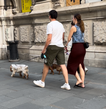 Trieste Urges Caution and Responsible Pet Ownership