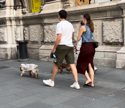 Trieste Urges Caution and Responsible Pet Ownership