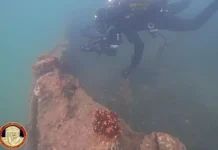 Historic Wrecks of World War I Barge Convoy Discovered in Italy