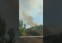Wildfire Erupts on Karst Plateau, Causing Road Closures and Citywide Disruptions Near Monfalcone