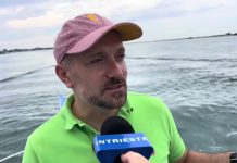 Discover the Adriatic: APT Gorizia’s Maritime Services Offer Scenic and Sustainable Travel