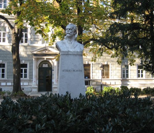 Trieste Designates Libraries as Cooling Centers Amid High Temperatures