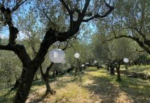 Arts and Heritage Combine to Celebrate Local Traditions Friuli Venezia Giulia