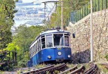 Fault Grounds Historic Trieste Tram, Cutting Service